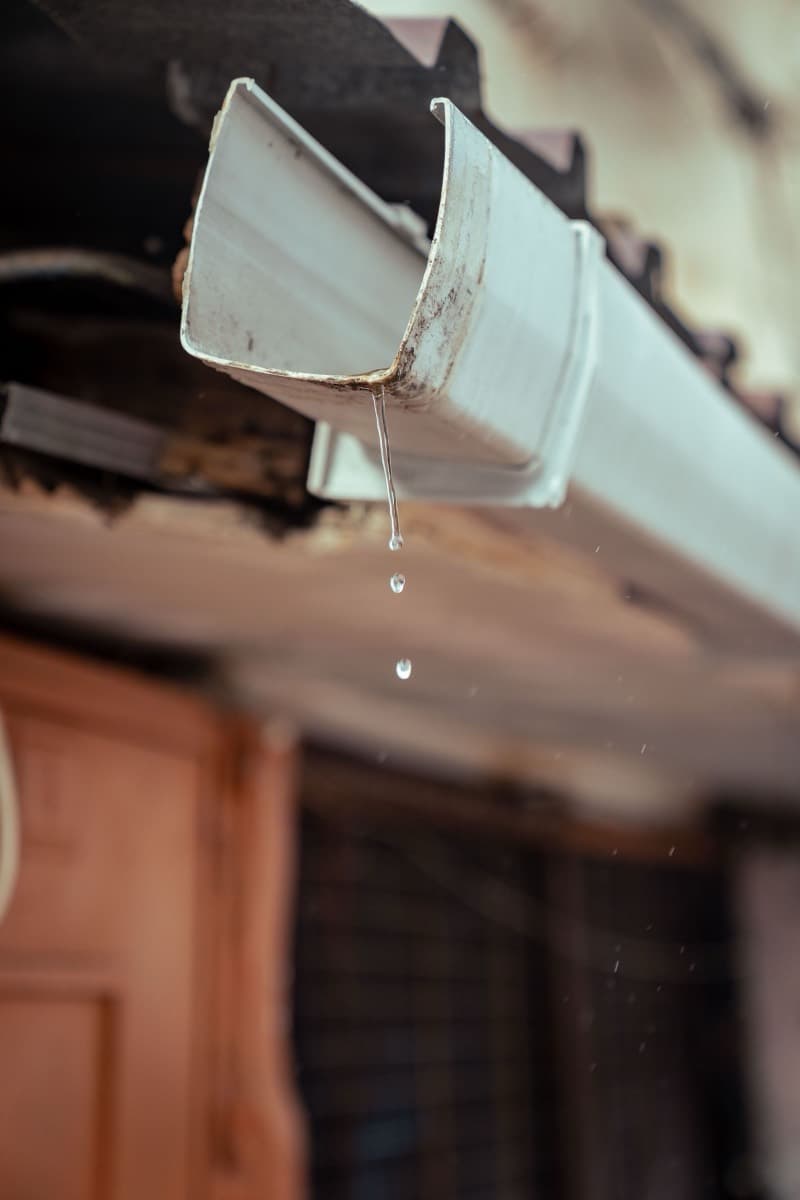 Close-up of a rain gutter channeling water off a roofline